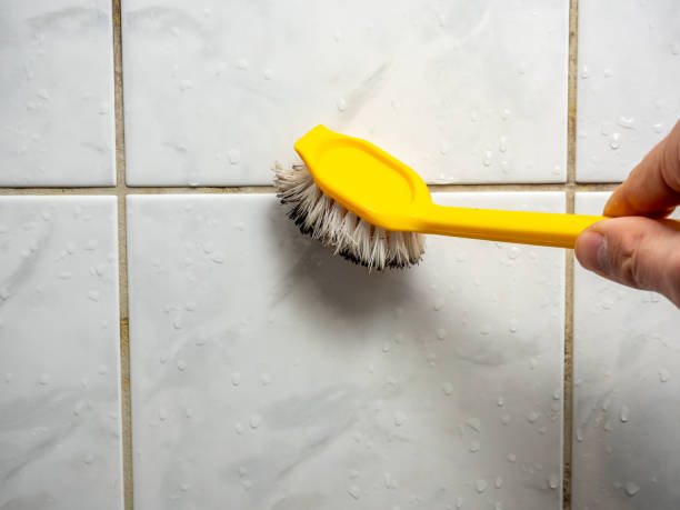 Best Mold Cleaning Services  in Level Plains, AL