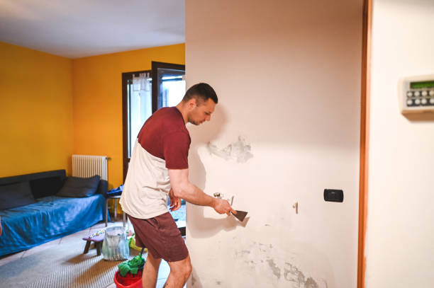 Best Mold Remediation Services  in Level Plains, AL